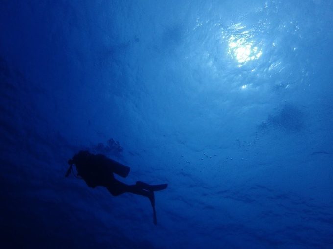 ダイビングで浮遊感を楽しんでいる写真