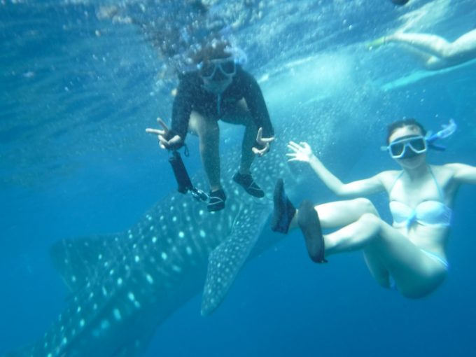 お客さま2人とジンベエザメの写真