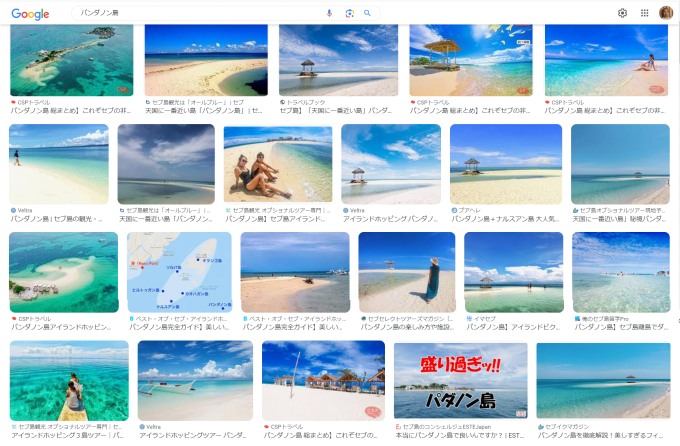 パンダノン島の画像検索画面